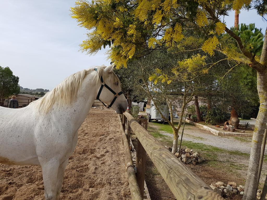 Finca Caballo Blanco Hotel Montuiri  Exterior photo